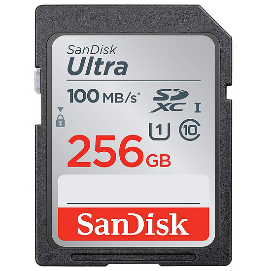 Carte mémoire SanDisk Ultra SDXC UHS-I U1 256 Go (SDSDUNR-256G-GN3IN)