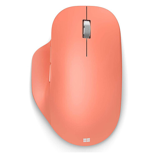 Souris PC Microsoft Bluetooth Ergonomic Mouse - Pêche