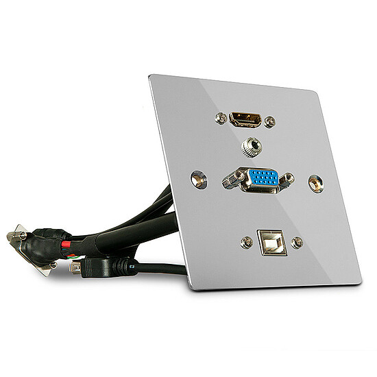 Câble VGA Lindy Plaque Murale HDMI - Jack - VGA - USB
