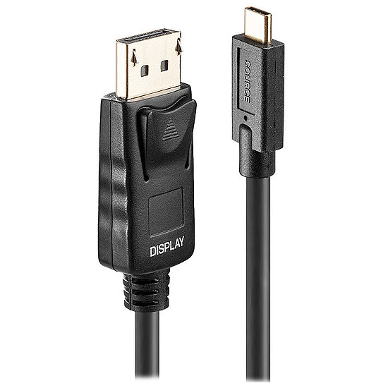 Câble USB Lindy Cordon USB-C / DisplayPort 4K  - 10 m
