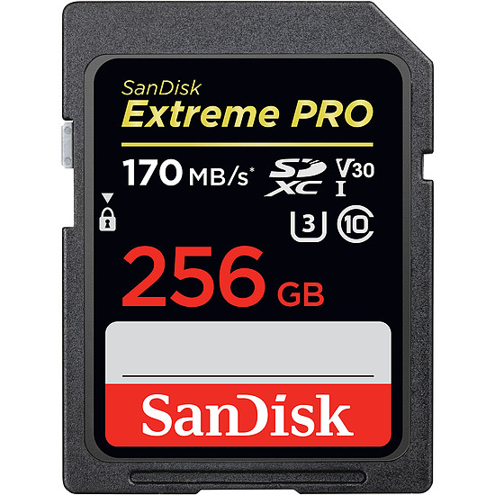 Carte mémoire SanDisk Carte mémoire SDXC Extreme PRO UHS-I U3 256 Go