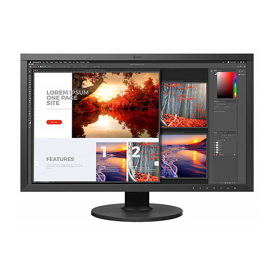 Écran PC Eizo ColorEdge CS2740-BK - Autre vue