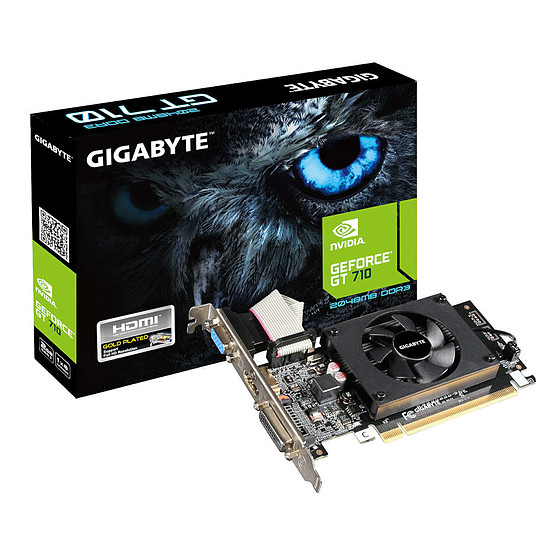 Carte graphique Gigabyte GeForce GT 710 2 Go (rev 2.0)