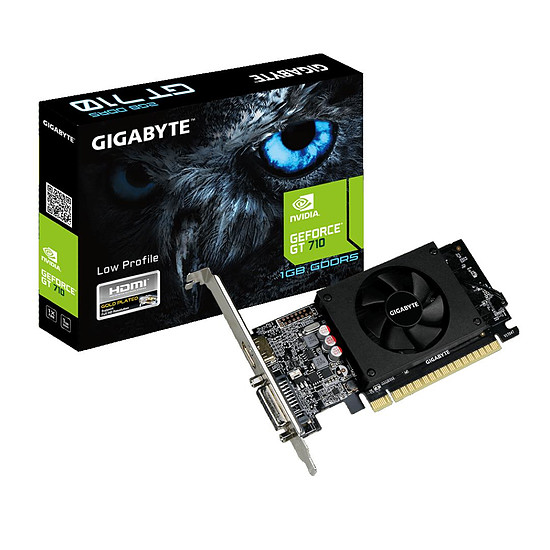 Carte graphique Gigabyte GeForce GT 710 - 1 Go