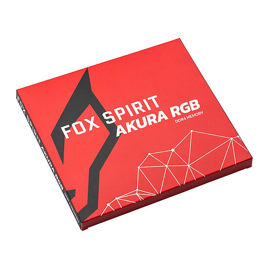 Mémoire RAM Fox Spirit Akura RGB - 2 x 16 Go (32 Go) - DDR4 3200 MHz - CL16 - Autre vue