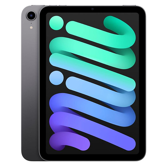 Tablette Apple iPad mini (2021) Wi-Fi - 256 Go - Gris sidéral