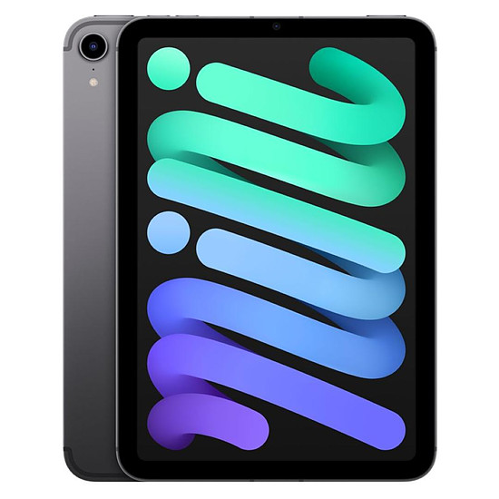 Tablette Apple iPad mini (2021) Wi-Fi + Cellular - 64 Go - Gris sidéral