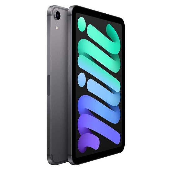 Tablette reconditionnée Apple iPad mini (2021) Wi-Fi + Cellular - 256 Go - Gris sidéral · Reconditionné - Autre vue