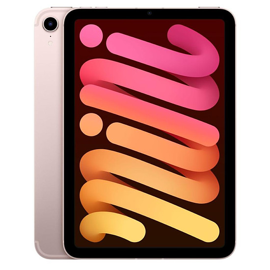 Tablette Apple iPad mini (2021) Wi-Fi + Cellular - 256 Go - Rose
