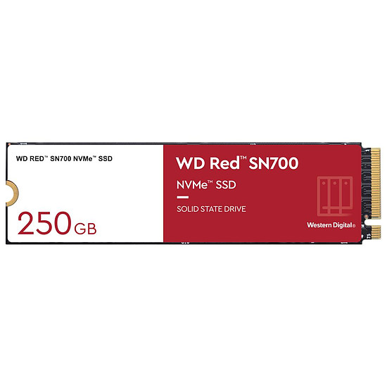 Disque SSD Western Digital WD Red SN700 - 250 Go