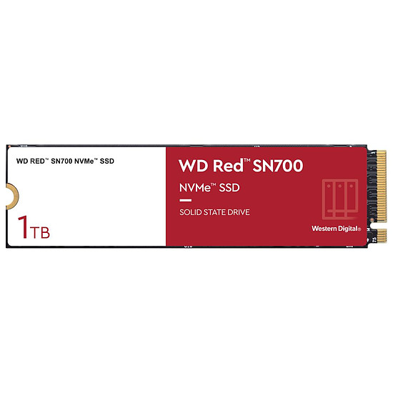 Disque SSD Western Digital WD Red SN700 - 1 To