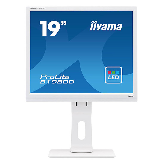 Écran PC Iiyama ProLite B1980D-W1