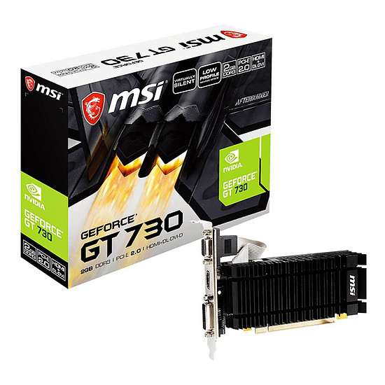 Carte graphique MSI GeForce GT 730 (N730K-2GD3H/LPV1)