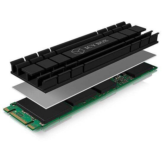Boîtier disque dur ICY BOX IB-M2HS-701 - Autre vue