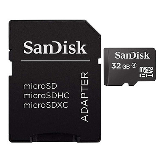 Carte mémoire SanDisk Carte mémoire microSDHC 32 Go