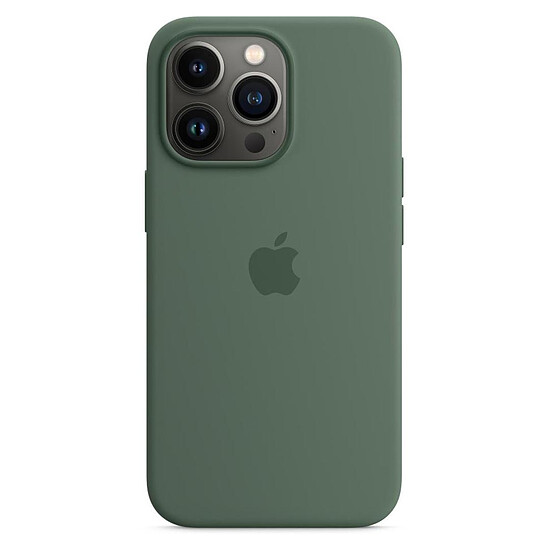 Coque et housse Apple Coque en silicone avec MagSafe pour iPhone 13 Pro - Eucalyptus