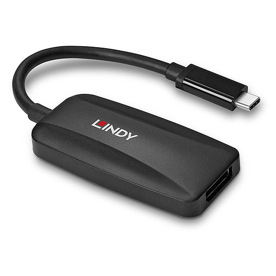 Câble DisplayPort Lindy Convertisseur USB type C vers DisplayPort 1.4