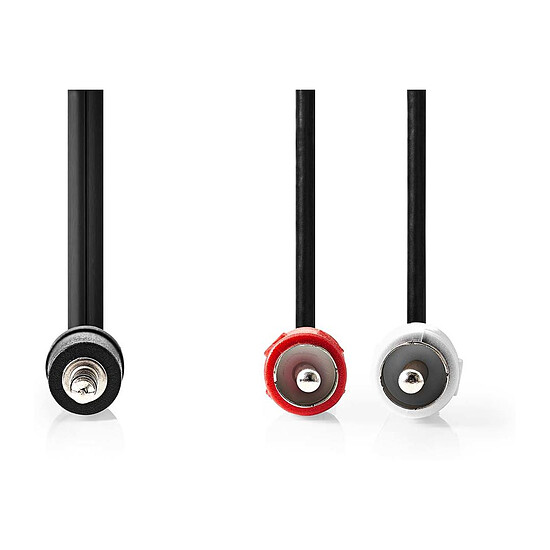 Câble Jack Nedis Cable Audio Stéréo Jack 3.5 mm mâle vers 2x RCA mâle - 2 m - Autre vue