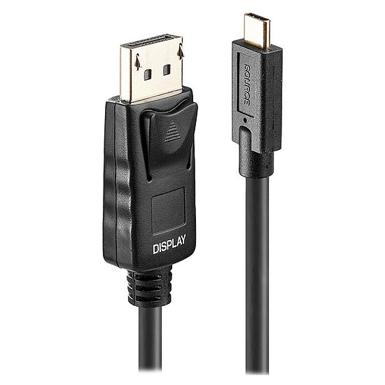 Câble USB Lindy Cordon USB-C vers DisplayPort 4K  - 10 m