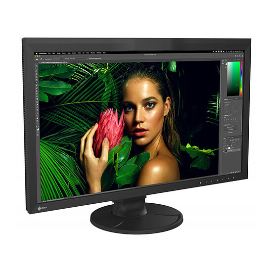 Écran PC Eizo ColorEdge CG2700S - Autre vue