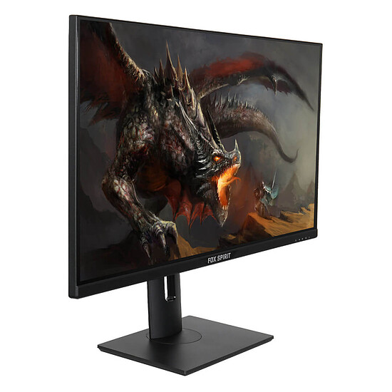 Écran PC Fox Spirit PGK280 - Autre vue