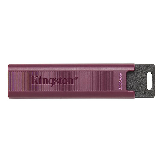 Clé USB Kingston DataTraveler Max 256 Go  (USB-A)