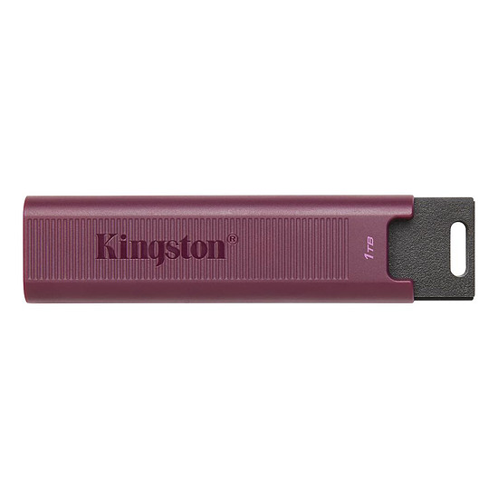 Clé USB Kingston DataTraveler Max 1 To (USB-A)