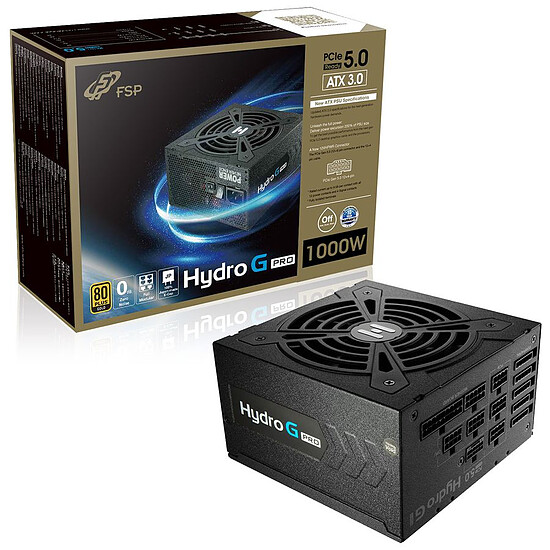 FSP Hydro PTM PRO ATX3.0 1000W お値打ち品 - technicomm.qc.ca