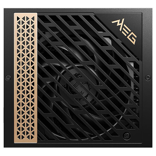 Alimentation PC MSI MEG Ai1300P PCIE5 - Autre vue