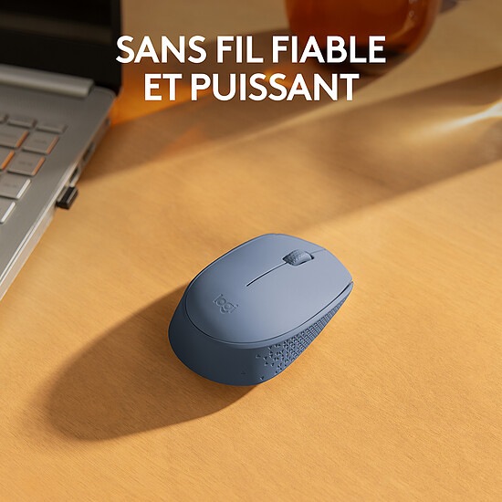 Souris PC Logitech M171 - Bleu gris - Autre vue