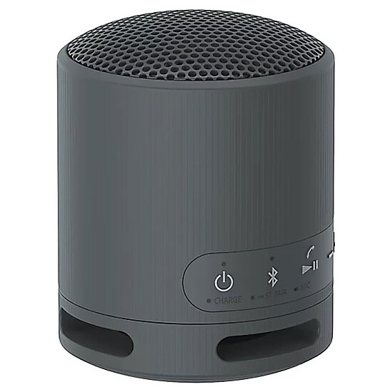 Enceinte sans fil Sony SRS-XB100 Noir - Enceinte portable - Autre vue