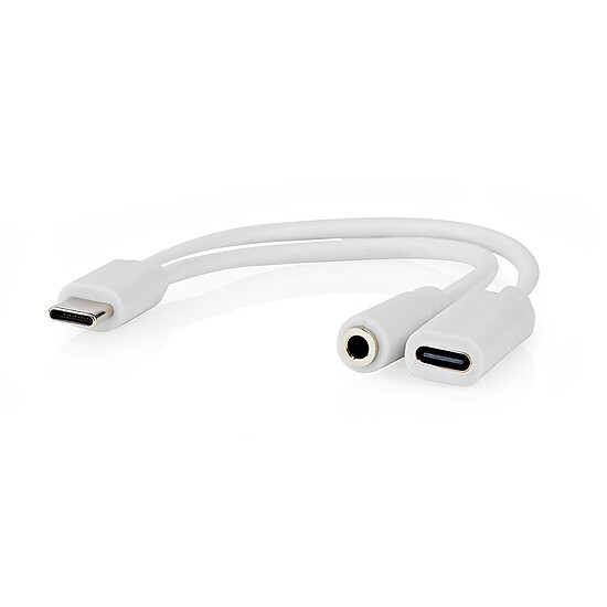 Adaptateurs et câbles Nedis Adaptateur USB-C vers USB-C femelle + Jack 3.5 mm Blanc - Autre vue