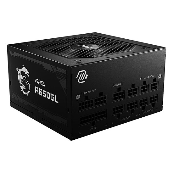 Alimentation PC MSI MAG A650GL - Autre vue
