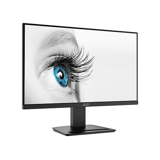 Écran PC MSI PRO MP2412 - Autre vue