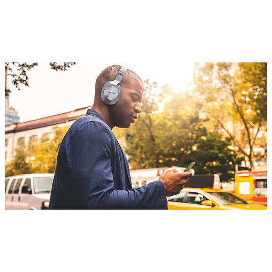 Casque Audio Technics EAH-A800 Argent - Autre vue
