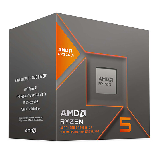 Processeur AMD Ryzen 5 8600G - Autre vue