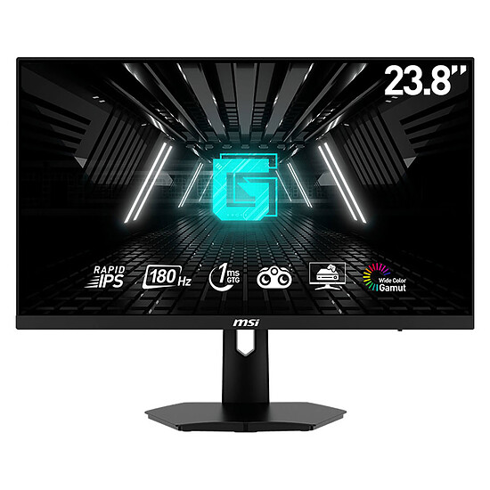 Écran PC MSI G244F E2