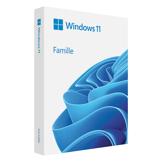 Windows Microsoft Windows 11 Home 64 bits (oem - DVD)