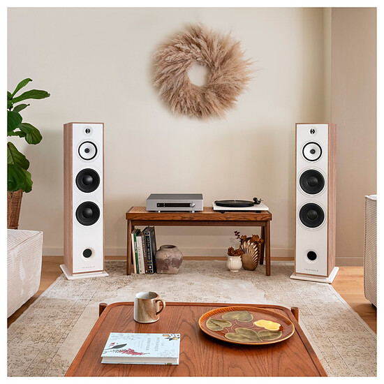 Enceintes HiFi / Home-Cinéma Triangle Borea BR10 (la paire) - Noir  - Autre vue