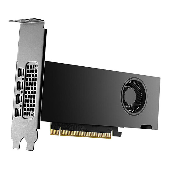 Carte graphique pro PNY Nvidia RTX 2000 génération Ada - Autre vue