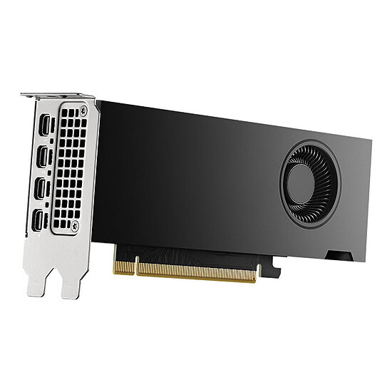 Carte graphique pro PNY Nvidia RTX 2000 génération Ada - Autre vue