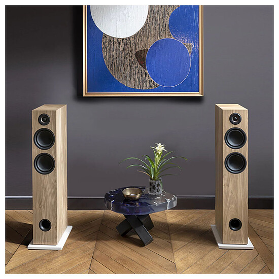 Enceintes HiFi / Home-Cinéma Triangle Elara LN05A (la paire) - Chêne clair  - Autre vue