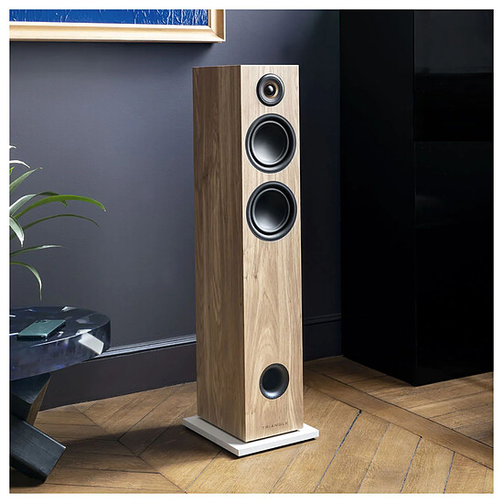 Enceintes HiFi / Home-Cinéma Triangle Elara LN05A (la paire) - Châtaignier - Autre vue