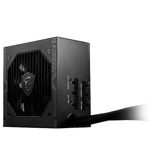 Alimentation PC MSI MAG A750BE - Autre vue