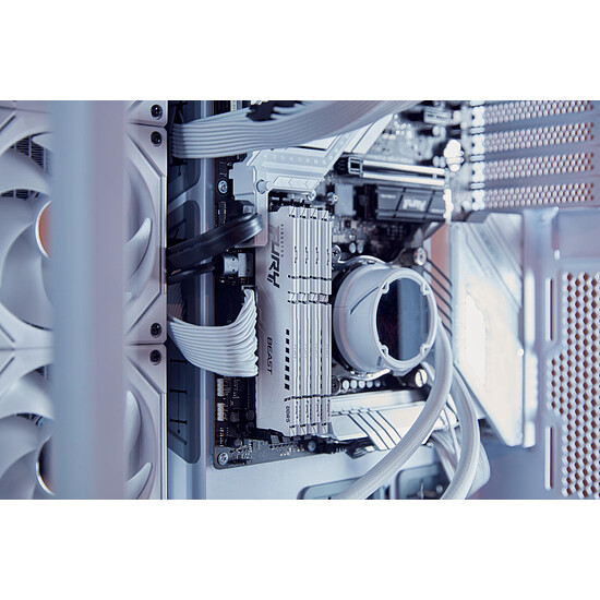 Mémoire RAM Kingston Fury Beast White - 2 x 16 Go (32 Go) - DDR5 6000 MHz - CL30 - Autre vue