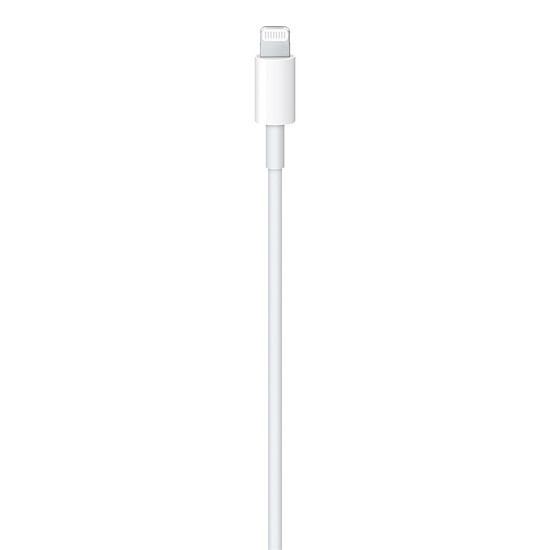 Adaptateurs et câbles Apple Câble USB-C vers Lightning - 2 m - Autre vue