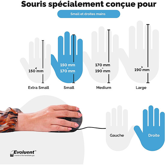 Souris PC Evoluent VerticalMouse D Small - Autre vue