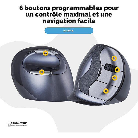 Souris PC Evoluent VerticalMouse D Wireless Large - Autre vue