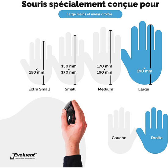 Souris PC Evoluent VerticalMouse D Wireless Large - Autre vue
