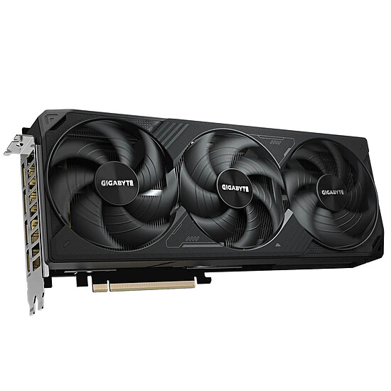 Carte graphique Gigabyte GeForce RTX 5080 WINDFORCE OC SFF 16G - Autre vue